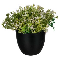 Gypsophila pot, 18cm, white