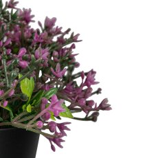 Gypsophila pot, 18cm, lilac