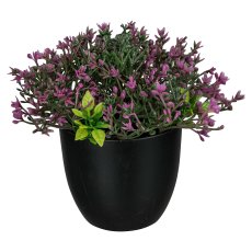 Gypsophila pot, 18cm, lilac