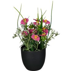 Petunia pot, 20cm, pink