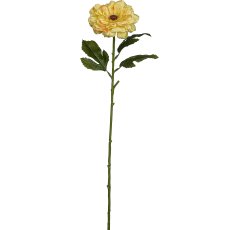 Zinnia, 63cm, yellow