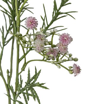 Gypsophila, 73cm, pale pink