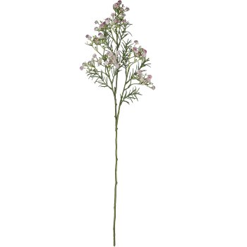 Schleierkraut, 73cm, rosa