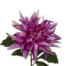 Dahlia, 65cm, pink