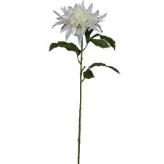 Dahlia, 65cm, white