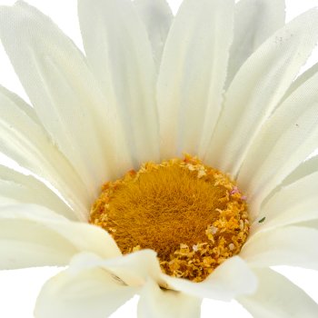 Margeritenzweig x2, 57cm, weiß