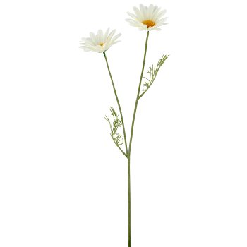 Margeritenzweig x2, 57cm, weiß