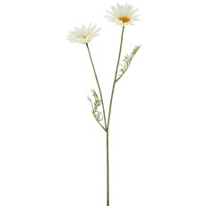 Margeritenzweig x2, 57cm, weiß