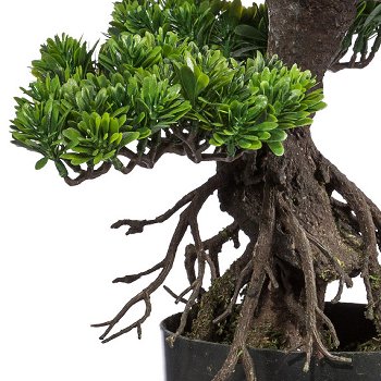 Bonsai, ca 75cm, grün, Kunststoff, im Topf 17x14cm schwarz