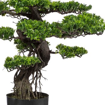 Bonsai, ca. 90cm, green, plastic, in pot 19x17cm black