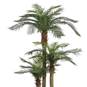 Areca Palm x3, ca. 250cm, 33 Fronds, plastic, in pot