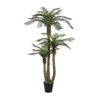Areca Palm x3, ca. 250cm, 33 Fronds, plastic, in pot