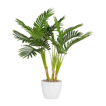 Kentia Palm x3, ca. 70cm, Green, Real Touch, In A Simple Plastic Pot 14x 12cm