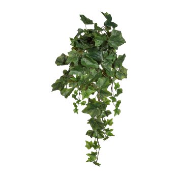 Engl. Efeuhänger x9, 78 Bl., ca 45cm, grün