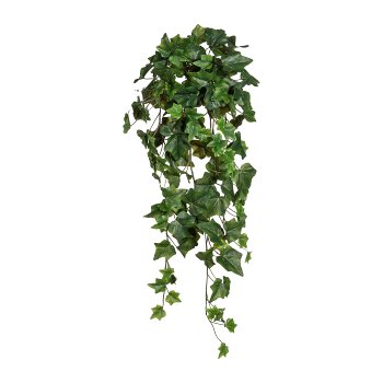 English Ivy Hanger x13, 144 leaves, ca. 70cm, green
