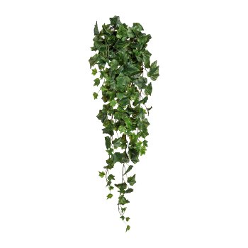 English Ivy Hanger x14, 191 leaves, ca. 85cm, green