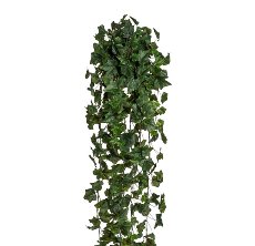 English Ivy Hanger x17, 423 leaves, ca. 170cm, green