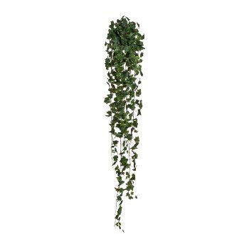 English Ivy Hanger x17, 423 leaves, ca. 170cm, green