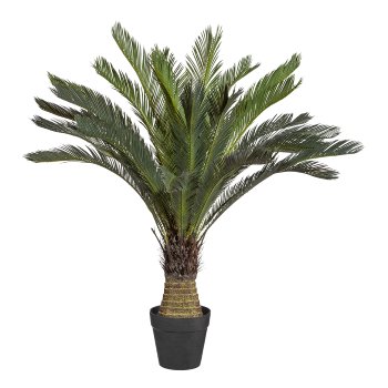 Cycaspalm, ca. 130cm, green, in plastic pot