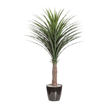 Yucca, ca 115cm, grün, im einfachen Kunststofftopf m. Erde