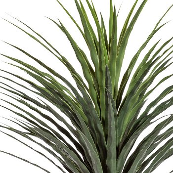 Yucca, ca 115cm, grün, im einfachen Kunststofftopf m. Erde