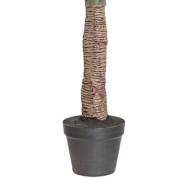 Yucca, ca 115cm, grün, im einfachen Kunststofftopf m. Erde
