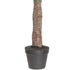 Yucca, ca 115cm, grün, im einfachen Kunststofftopf m. Erde