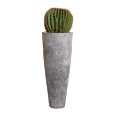 Kaktus Echino, ca. 45 cm,