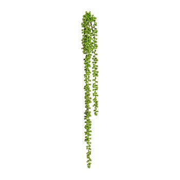 Sedum hängend x5, ca 65cm, grün