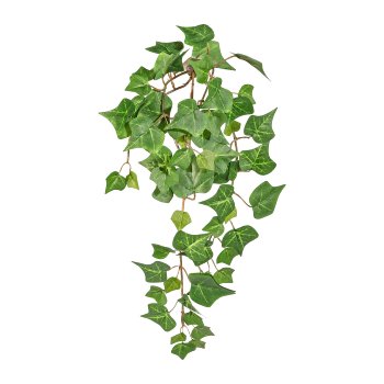 English Mini Ivy Vine ca. 40cm, 62 Leaves