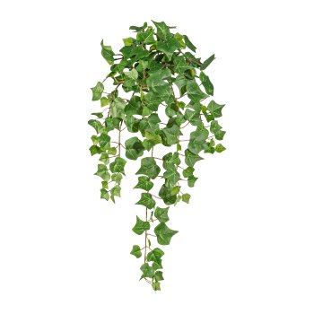 Engl. Mini-Efeuranke ca 60cm, 175 Blatt
