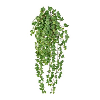 Engl. Mini-Efeuranke ca 90cm, 371 Blatt