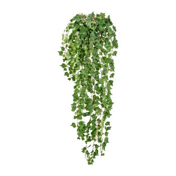 Engl. Mini-Efeuranke ca 115cm, 618 Blatt