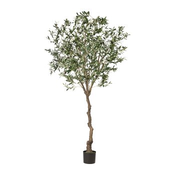 Olive Tree, ca. 240cm, Plastic Trunk, In Pot