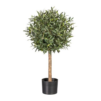 Olivenkugelbaum, ca 90cm, Ø 45 cm, Naturstamm, grün im Kunststofftopf 18x14,5cm