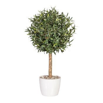 Olive Ball Tree, ca. 90cm, Ø 45cm, Natural Trunk, Green, In Pot