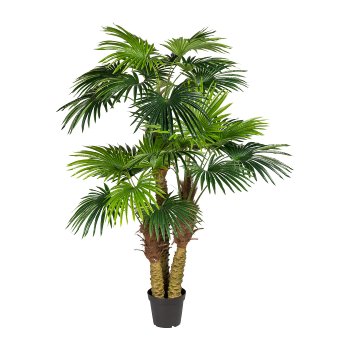 Fan Palm x3, ca. 185cm, 26 Fronds, plastic, in pot 24x20cm black