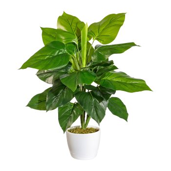 Philodendron x22, ca 50cm, grün, Kunststoff, im Keramiktopf