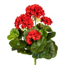 Geranium Bush x7, ca. 32cm, Red