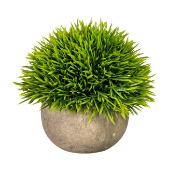 Grashalbkugel, ca 12cm, grün, im Naturtopf 9x6cm