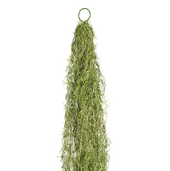 Tillandsia Pendant, ca. 140cm, plastic, green 1/Poly