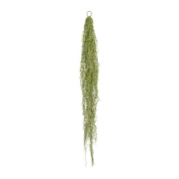 Tillandsia Pendant, ca. 140cm, plastic, green 1/Poly