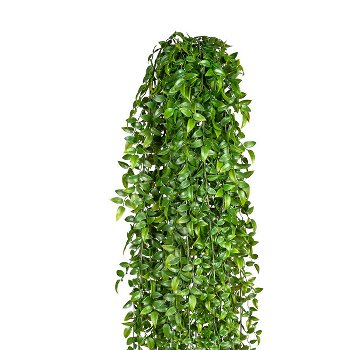 Ruscushänger x9, ca 160cm, Kunststoff, grün 1/Poly