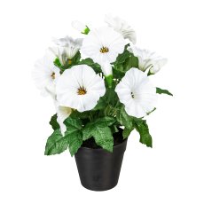 Petunia x9 Flowers, White, 28cm, In Plastic Pot 10x9cm