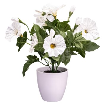 Petunie x9 Blüten, weiß, 28cm, im weißen Melamintopf
