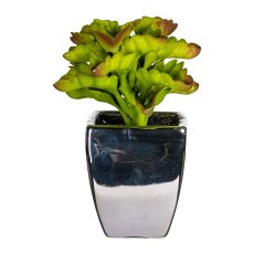 Succulents x3, 3 asst., ca. 13cm, Flocked, In Ceramic Pot Silver 7x8,5cm