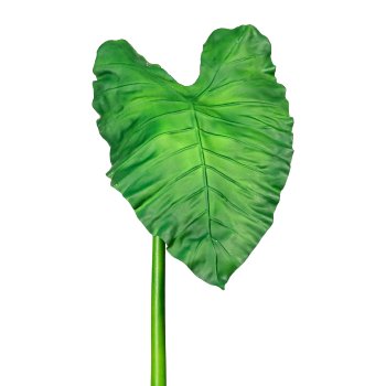 Calla Leaf ca. 46x34cm, Total 105cm, Green, Pu Handle, 1/Poly