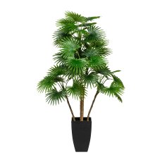Fan Palm x5, 42 Sheets, ca. 105cm, Green, In Pot 15x24 cm, with Soil, Plastic