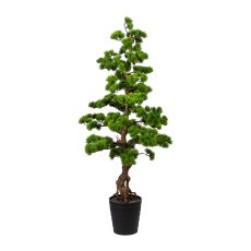 Bonsai Pine ca. 140x60cm, in plastic pot 21x23cm black, plastic