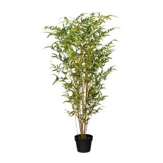 Bamboo, 120 cm Green Natural